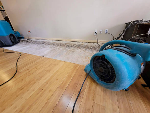 Professional Water Removal technician working in Clearfield, UT